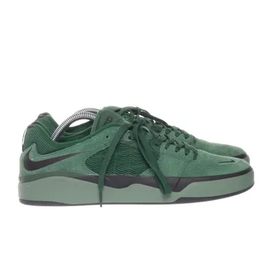 Sneakers (Sb Ishod Wair) van Nike