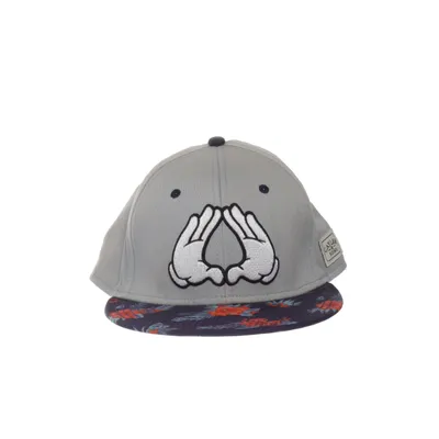 Baseball cap (Gray, Multicolored) from Cayler & Sons