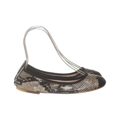 Ballerinaskor (Svart, Beige, Flerfärgad) från Bloch Skinn