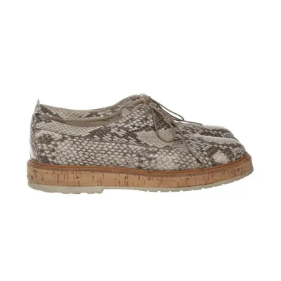 Chaussures Oxford (Gris, Marron, Multicolore) de AGL Cuir