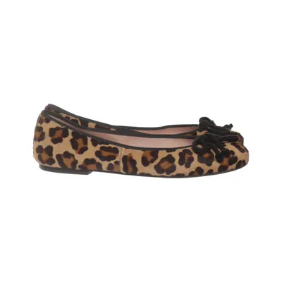 Ballet flats (Brown, Multicolored) from Pretty Ballerinas Leather