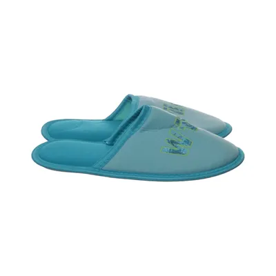 Slippers (Blue) from Wild