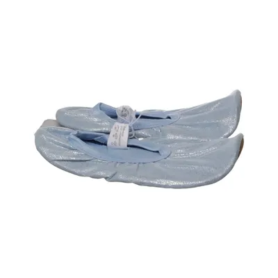Ballet shoes (Blue) from Crane