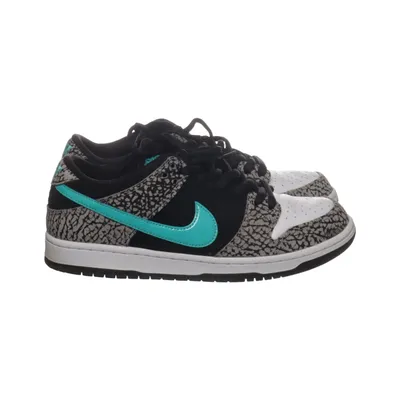 Sneakers (DUNK LOW PRO) from Nike SB Leather