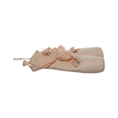 Ballet shoes (Pink) from Sansha