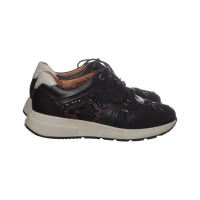 Baskets (Marron) de Kiwi Cuir