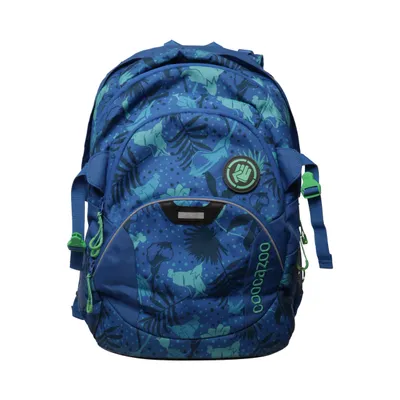Backpack (Blue, Green, Multicolored) from Coocazoo