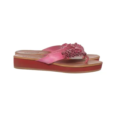 Sandales (Rose, Marron) de Inuovo