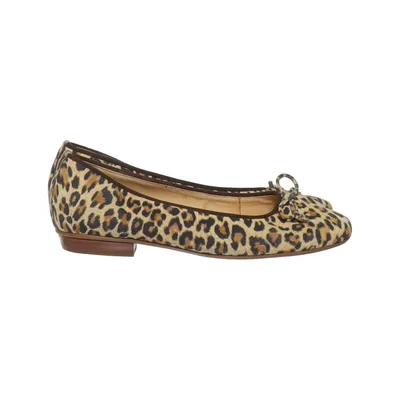Ballerina's (Beige, Meerkleurig) van Paul Green