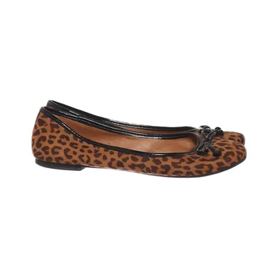 Ballet flats (Brown, Multicolored) from Arezzo