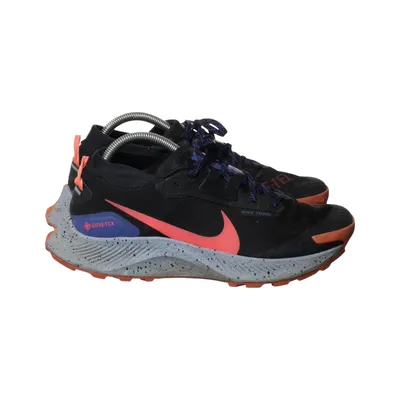 Baskets (Pegasus Trail 3 Gore-Tex) de Nike Trail