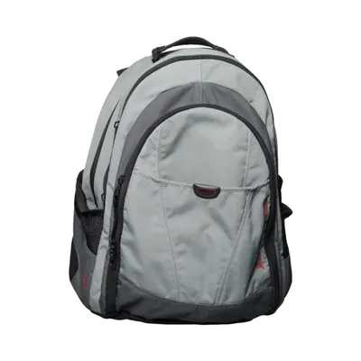 Backpack (Gray, Black) from Dakine