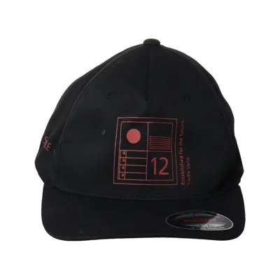 Casquette de baseball (Noir) de Flexfit Coton, Élasthane, Polyester