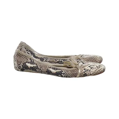 Ballet flats (Beige, Multicolored) from Corina