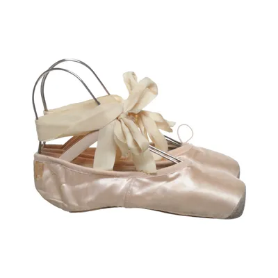 Ballet shoes (Triomphe) from Bloch Cotton, Leather