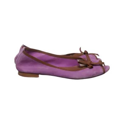 Ballet flats (Purple, Brown) from Caiman Leather