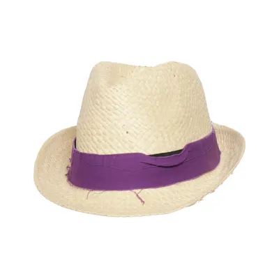 Fedora hoed (Beige, Lila) van Beechfield