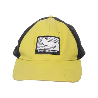 Baseball cap (Yellow, Black) from Ortovox