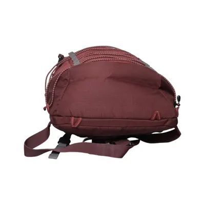 Backpack (Red) from Victorinox