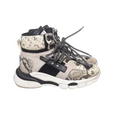 Sneaker (Evolution) von Sneaker Lab