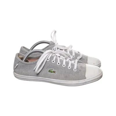 Chaussures en toile (Ziane Sneaker Cls3 Spw) de Lacoste Sport