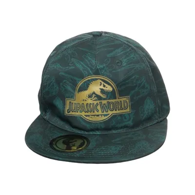 Baseball cap (Jurassic World) from H&M Polyester