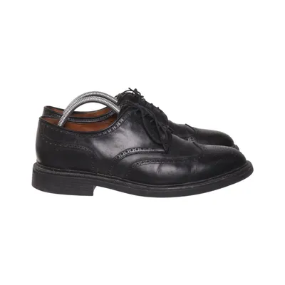 Brogues (ASHER WGTIP) fra Polo Ralph Lauren Læder