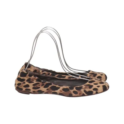 Ballerines (Marron, Multicolore) de Dolce & Gabbana Cuir