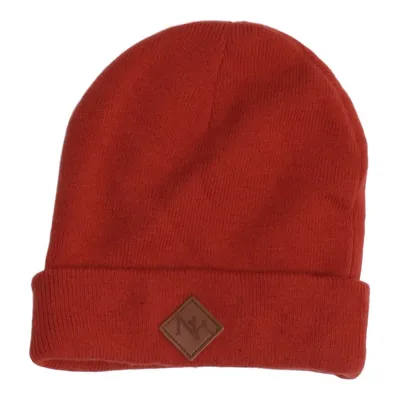 Beaniemössa (FORTHAM Beanie) från Statewear Akryl