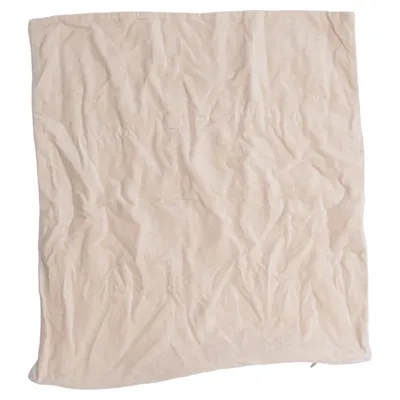 Housse de coussin (Beige)
