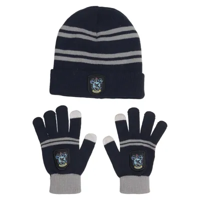 Kit d'accessoires (Bleu, Gris) de Harry Potter Acrylique