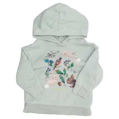 Hoodie (Green, Multicolored) from Whooli Chen x H&M Cotton, Polyester