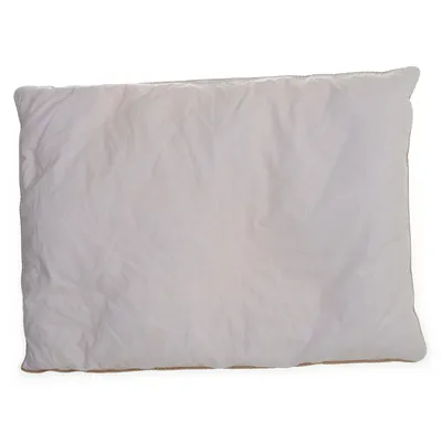 Cushion (White) from Baby Dan