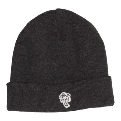 Beanie (Gray) from Caliroots Acrylic, Polyester