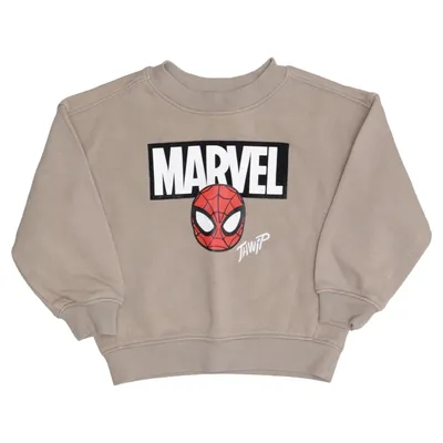 Sweatshirt (Beige) from H&M x Marvel Cotton, Polyester