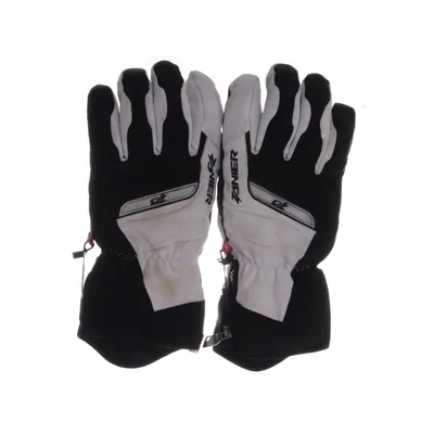 Handsker (DAC-STN.GTX) fra Zanier Elastan, Gore-tex, Læder, Polyester