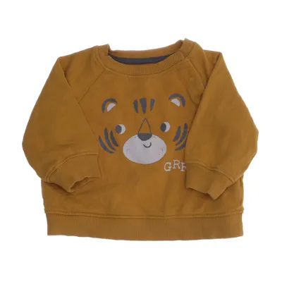 Sweatshirt (Yellow, Multicolored) from Tex Baby Cotton