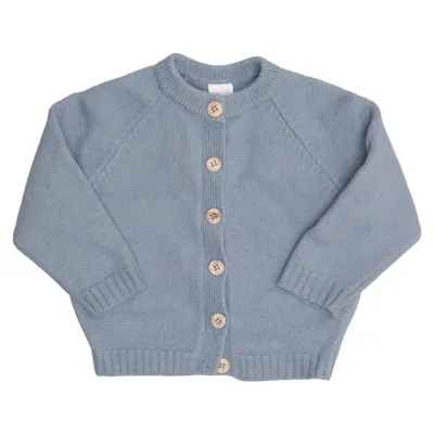 Cardigan (Blauw) van Mamelo Merinowol