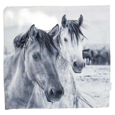 Cushion cover (Black, White, Gray) from Boel & Jan