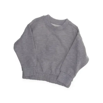 Sweatshirt (Grijs) van Lager 157 Katoen, Viscose