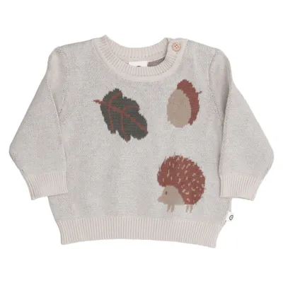 Sweater (Beige, Multicolored) from Müsli by Green Cotton Cotton