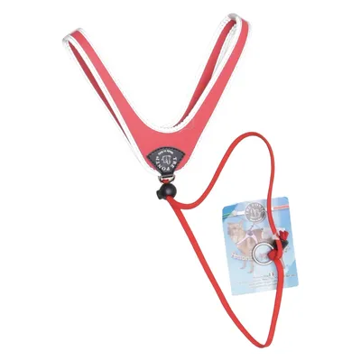 Harnais pour chien (Rouge, Gris) de Tre Ponti