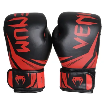 Boxing gloves (3.0) from Venum