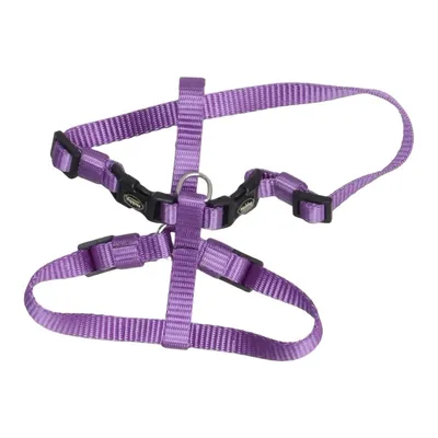 Dog harness (Purple) from Nobby