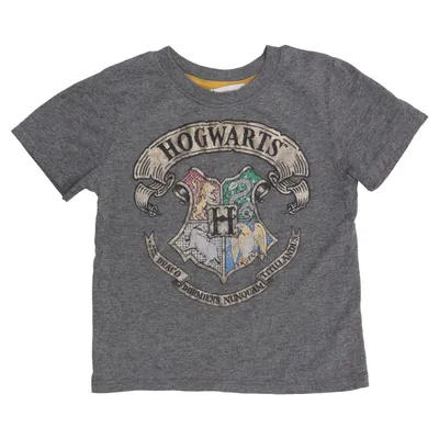 T-shirt (Grijs) van Harry Potter x H&M
