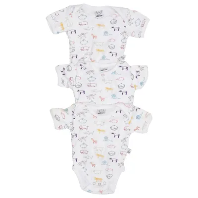 Body (White, Multicolored) from IDA