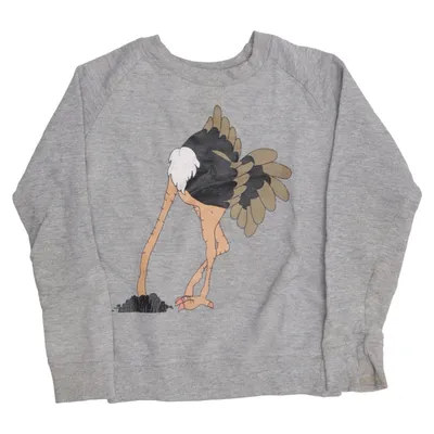 Sweatshirt (Gray) from Tao & Friends