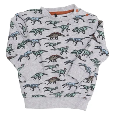Sweatshirt (Grijs, Meerkleurig) van Skill Katoen, Viscose