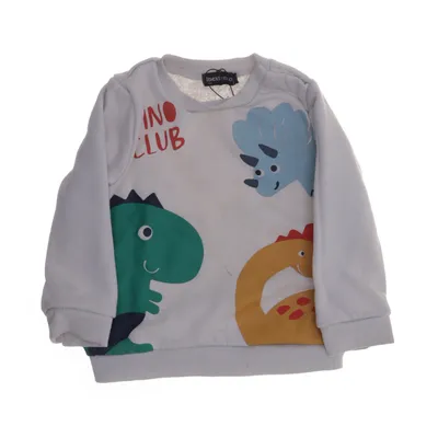 Sweatshirt (Grijs, Meerkleurig) van In Extenso