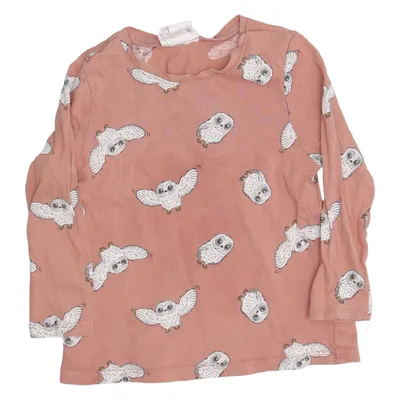 Langærmet t-shirt (Brun) fra Harry Potter x H&M Bomuld